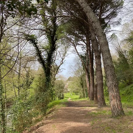 Camping Maureillas Camping *