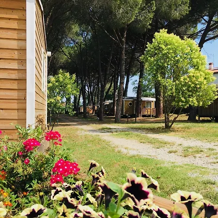 Campsite Camping Maureillas *