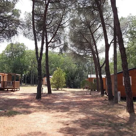 キャンプ場 Camping Maureillas Maureillas