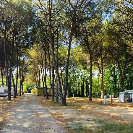 Camping Maureillas キャンプ場